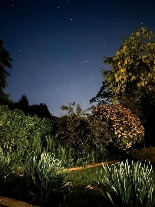 Linden Suite Goring Bagian luar foto