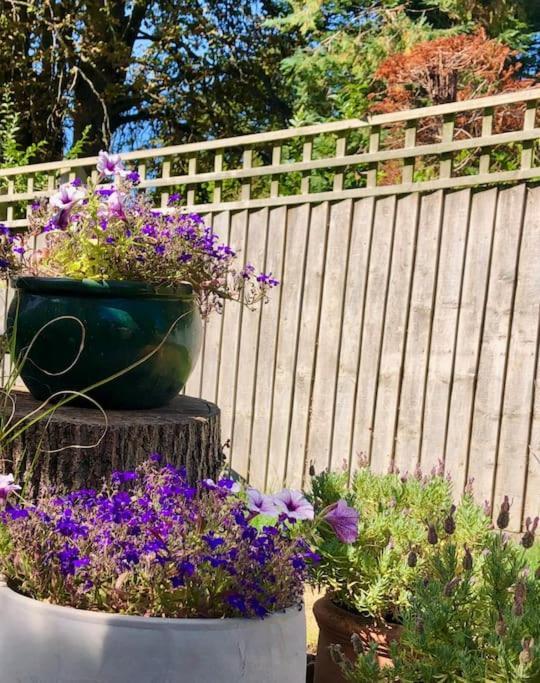 Linden Suite Goring Bagian luar foto